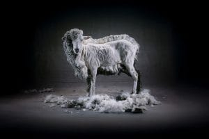 How to Structure an Off-the-Cuff Response: Clear Communication Without Rambling